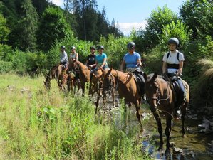 5 Days Point to Point Trail Riding Holiday in Transylvania, Romania