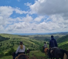 8 Tage Sumadija Trail Pferdereittour in Westserbien - Photo 3