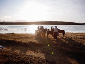 4 Day Riding and The Northern Lights Horseback Riding Holiday in Selfoss, Árborg