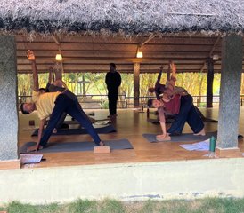 9 días de profesorado avanzado de tantra y kundalini yoga de 100 horas en Mysore, India - Photo 5
