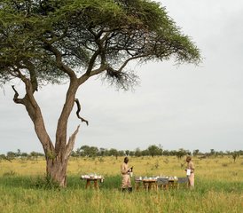 4 Tage Budget Camping Gruppensafari in Tansania - Photo 3