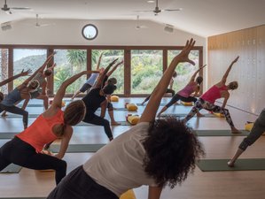 7 Day Summer Hatha and Yin Yoga Retreat in Málaga, Andalusia, Spain