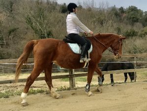 8 Day  Horse Riding and La Dolce Vita Holiday in Picturesque Tuscany 