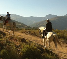 6-Daagse Korte Vakantie en Paardrijtour in La Alpujarra, Andalusië, Spanje - Photo 5