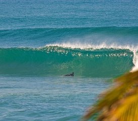 7 Tage Surfkurs in Wewala, Hikkaduwa - Photo 5