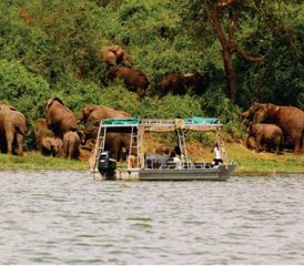 14 jours en stage privé d’aventure safari au Rwanda et en Ouganda - Photo 5
