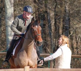 25 Day Individually Tailored Horse Riding Holiday in Coutras near Bordeaux, France - Photo 1