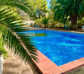 5 Day Yoga Escape in Valencia, Spain | Relax & Reset with Nature, Beach and Organic Food - Photo 3