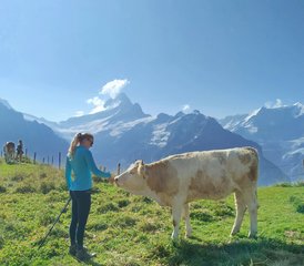3-Daagse Mürren Yoga- en Wandelretreat in de Zwitserse Alpen - Photo 5
