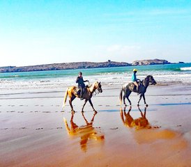 4 jours de découverte équestre à Sidi Kaouki, Maroc - Photo 5