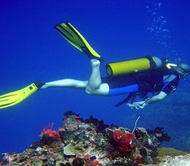 8 jours en stage de safari partagé en Tanzanie et vacances à la plage à Zanzibar - Photo 2