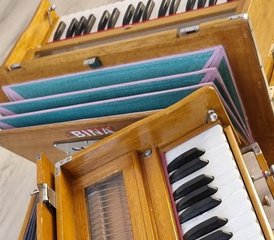 Zelfstudie 30-uur online Bhakti Yoga docentopleiding met kirtan en Indiase harmonium - Photo 3