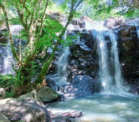3 Day Yoga, Rice Terrace, and Waterfall Healing Retreat in Tabanan, Bali, Indonesia - Photo 5