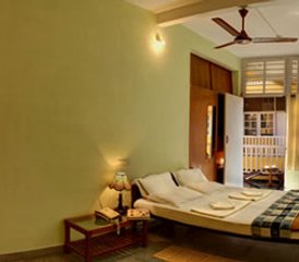 28 días de profesorado de yoga Ashtanga y Hatha de 200 horas en Mysore, India - Photo 4