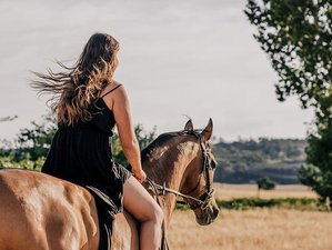 5 Day Horse Riding Adventure in Messinia, Greece with Lake, Beach, and Mountain Trips