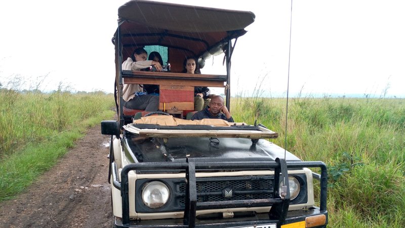 2 Tage Safari im Mikumi-Nationalpark in Tansania