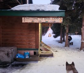 10 Tage Grizzly-Mountain-Reit-Camping-Trip im Yukon, Kanada - Photo 5