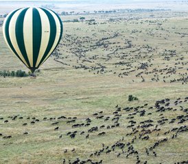 9 Tage Große Gnu-Wanderung und Heißluftballon Safari in Tansania - Photo 2