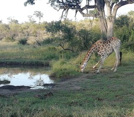4-Daagse Victoria Falls en Chobe Explorer Safari in Zimbabwe en Botswana - Photo 4