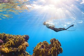 All Inclusive Tauchen Retreats und Reisen