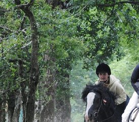 4 Day Iconic Coastal Horse Ride Tour to Dunluce Castle and Giant's Causeway in Northern Ireland - Photo 5