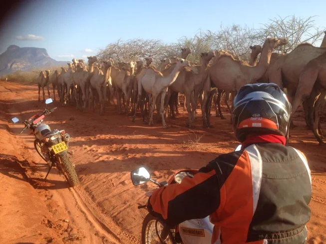 21 Day Guided Motorcycle Tour Across Kenya and Tanzania photo 4
