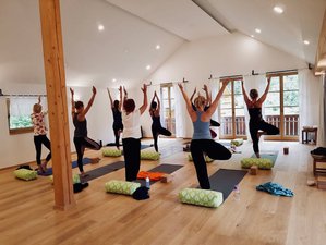 5 Day Power Yoga Retreat with Anja Jetter in the Slovenian Alps