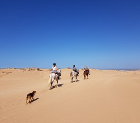 105 jours de séjour équestre Boucle d’Argana à Essaouira, Maroc - Photo 1