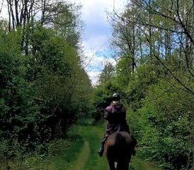 4 Day Center-based Horse Riding Holiday in the Wild Bug River Valley, Poland - Photo 3