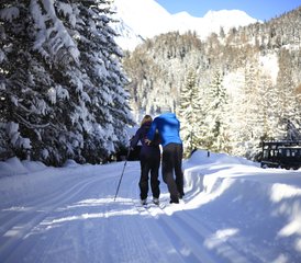8 Day Winter Yoga, Cross Country Skiing and Snowshoeing Holiday in the Austrian Alps - Photo 5