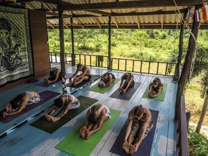 18 Tage 200-Stunden Hatha und Vinyasa Yogalehrer Ausbildung in Monchique