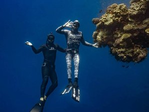 9 Day Beneath the Waves, Beyond the Self: Freedive and Yoga Retreat in Dahab, Egypt