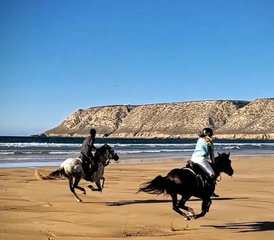 93 Day Horseback Riding Tour in Morocco - Photo 1