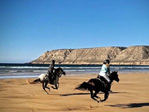 3 Day Horseback Riding Tour in Morocco