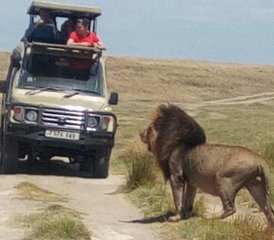 12 Tage Spektakulärer Wildlife-Safari und Strandurlaub in Sansibar, Tansania - Photo 3