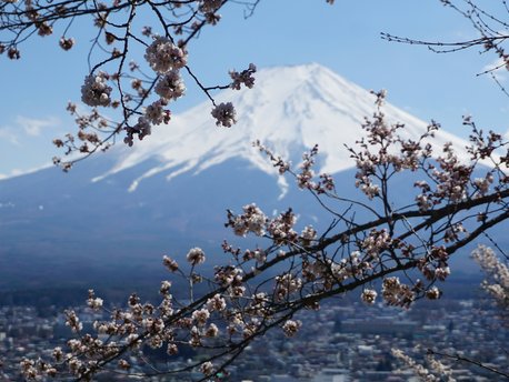 Yamanashi
