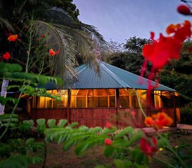 7 Day Ayahuasca Retreat: Safe and Intimate Experience in Tamarindo, Costa Rica - Photo 2
