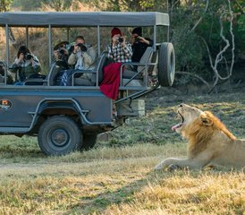4 Tage Luxus-Safari im South Luangwa-Nationalpark, Sambia - Photo 3
