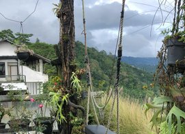 Kintamani Retreats & Trips