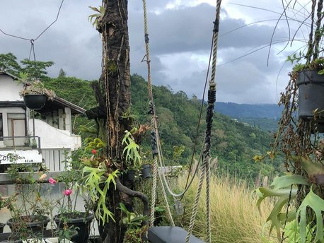 Kintamani