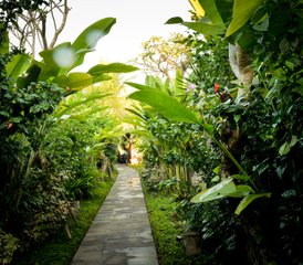 3 días de retiro de yoga con visita a un sanador en Ubud, Bali, Indonesia - Photo 5