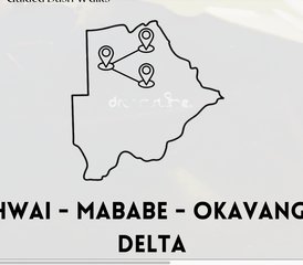 7-Daagse Safariplezier door Mababe in Botswana - Photo 3