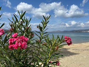 7 Day Inward Odyssey Blissful Island Yoga Retreat in Evia, Greece