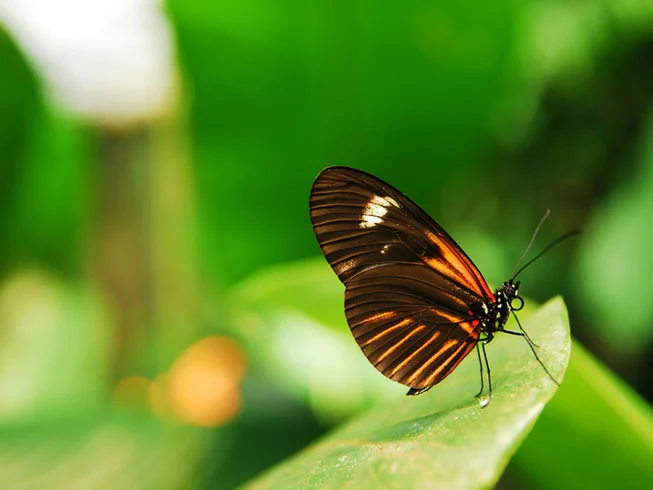 2 Day Mindo Dirt Self Guided Adventure in Ecuador photo 5
