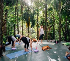 8 Day Surf and Yoga Holiday in Arugam Bay, Eastern Province of Sri Lanka - Photo 4