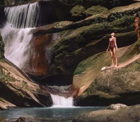 97 días de retiro de ayahuasca, meditación y yoga en la selva amazónica en Moyobamba, Perú - Photo 1
