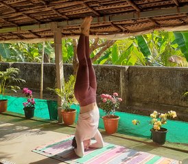 7 Day Yoga and Meditation Retreat with Daily Ayurvedic Massages in Kerala, India - Photo 5