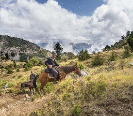 8 Day King Skerdilajd Army Route Mountain Trail Horse Riding Tour in Albania - Photo 4