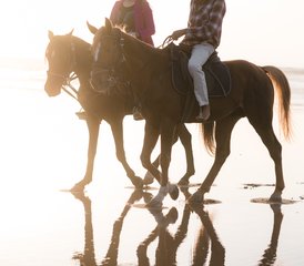 113 Day Sidi Kaouki Trek: Adventure, Relaxation, and Sunset Magic Horse Riding Holiday in Morocco - Photo 1