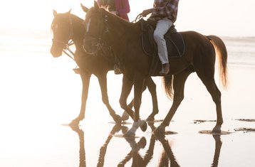 3-Daagse Sidi Kaouki Trek: Avontuur, Ontspanning en Zonsondergangmagie Paardrijvakantie in Marokko